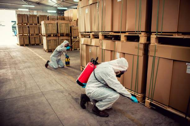 Best Best Pest Control Companies  in Sunrise Manor, NV