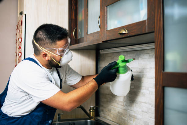 Best Wildlife Control Services  in Sunrise Manor, NV
