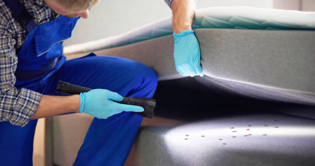 Pest Control for Restaurants in Sunrise Manor, NV