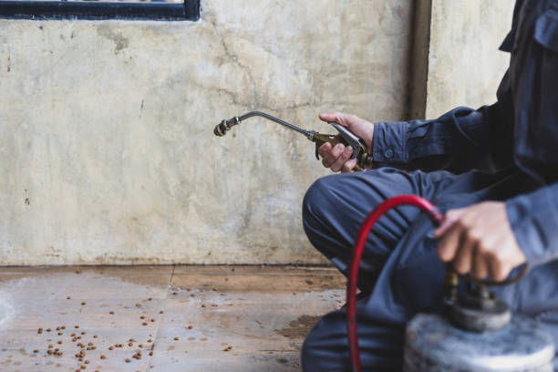 Best Emergency Pest Control  in Sunrise Manor, NV